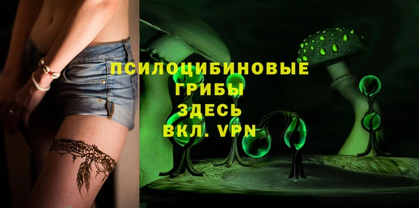 дживик Нязепетровск