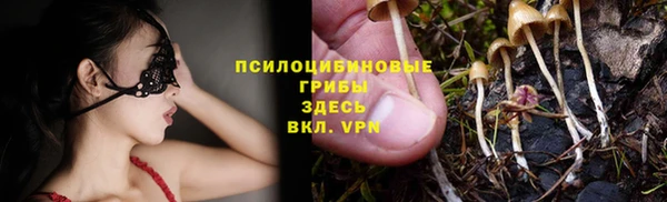 твердый Няндома