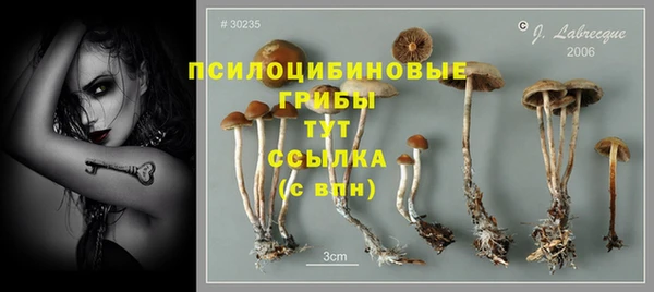 дживик Нязепетровск