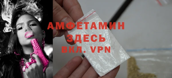 твердый Няндома