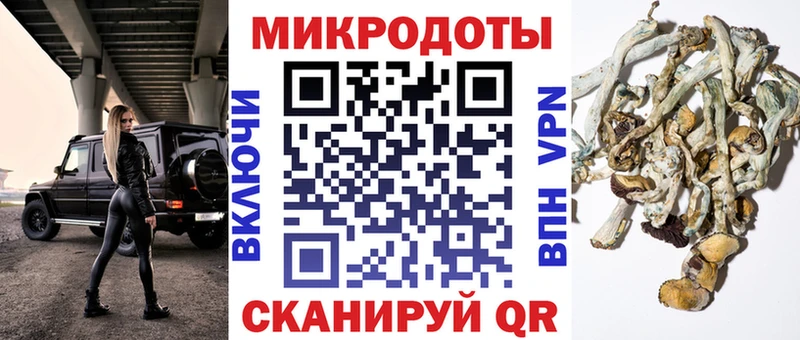 Псилоцибиновые грибы мицелий где найти наркотики Североморск