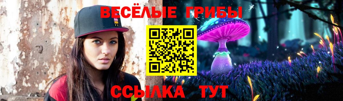 Североморск  Галлюциногенные грибы GOLDEN TEACHER  Вход с VPN  цена наркотик  Галлюциногенные грибы ЛСД 